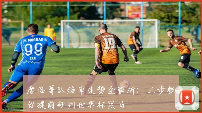 摩洛哥队赔率走势全解析：三步教你提前研判世界杯黑马
