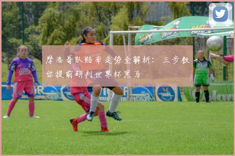 摩洛哥队赔率走势全解析：三步教你提前研判世界杯黑马